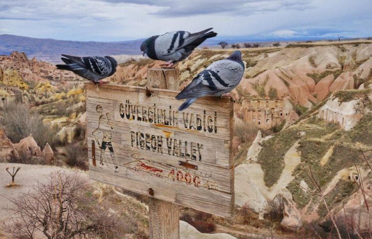 Ariadne Cappadocia Turkey Tours