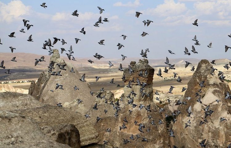 Ariadne Cappadocia Turkey Tours